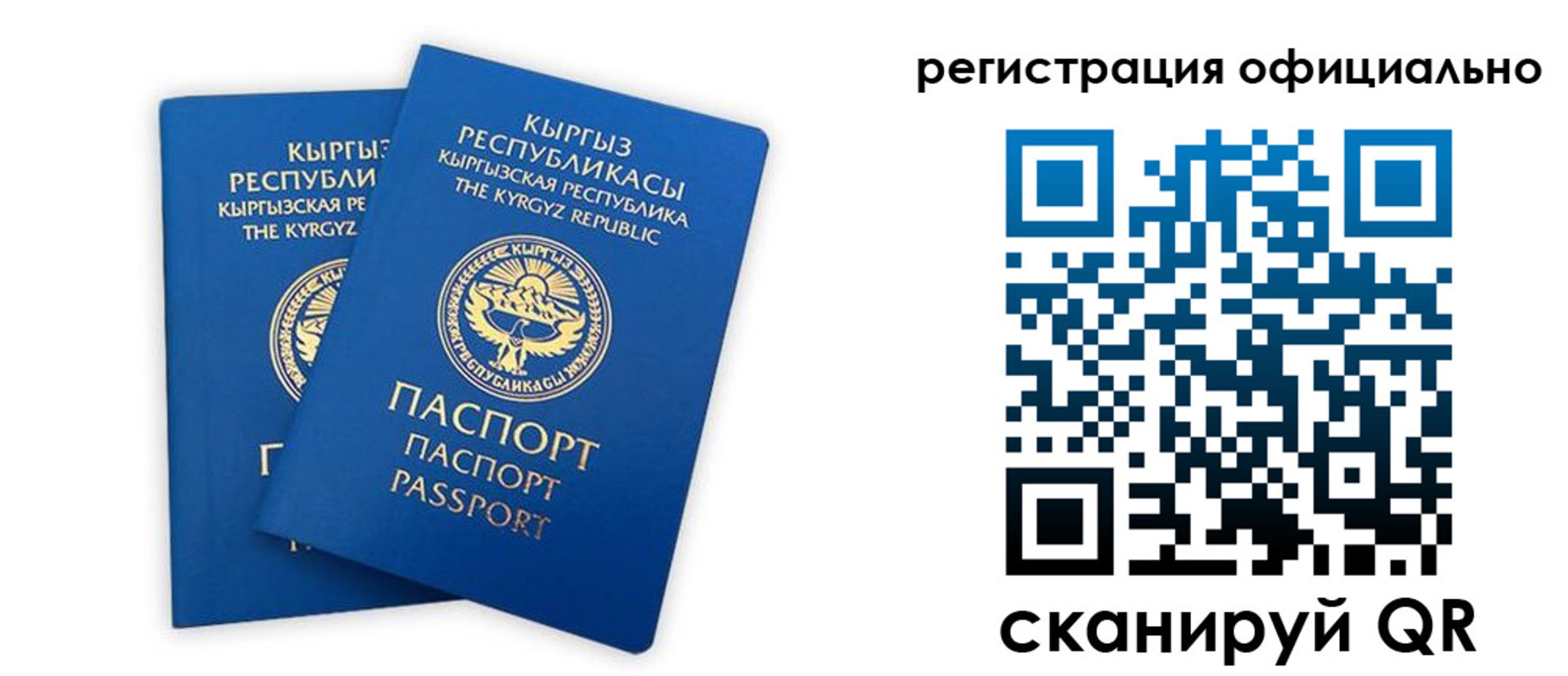 прописка поиск в Новомичуринске